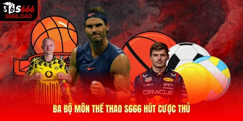 Ba bộ môn thể thao S666 hút cược thủ