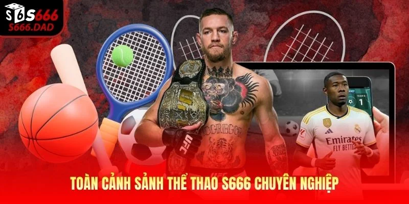 Toàn cảnh sảnh thể thao S666 chuyên nghiệp